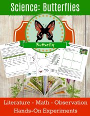 homeschool science curriculum butterflies unit