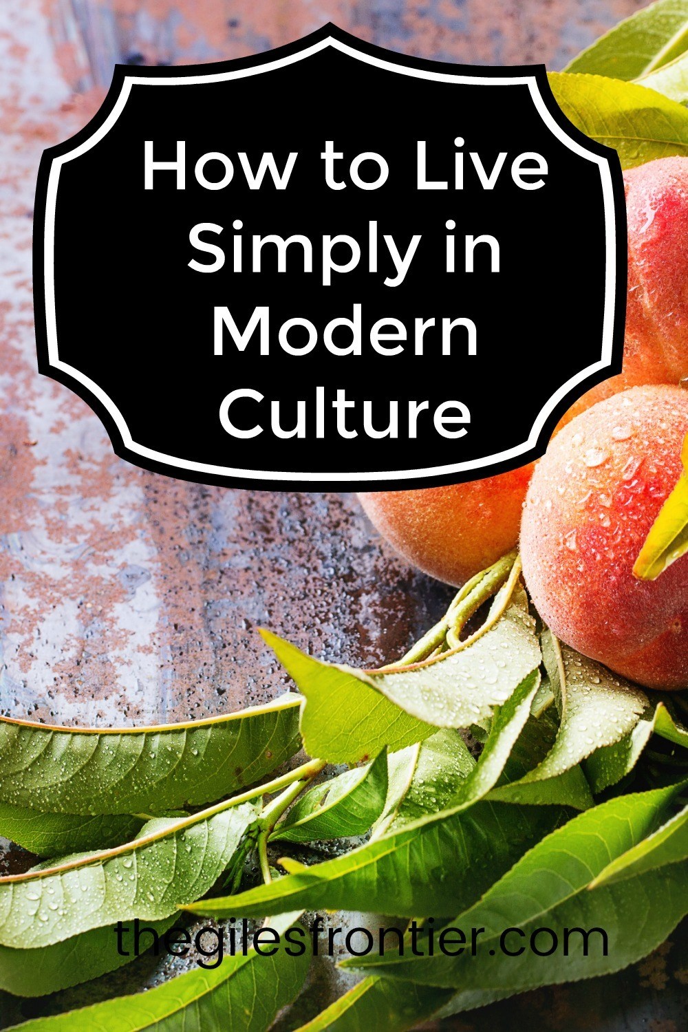 live simply in modern culture