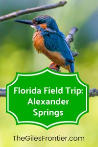 Alexander Springs Florida