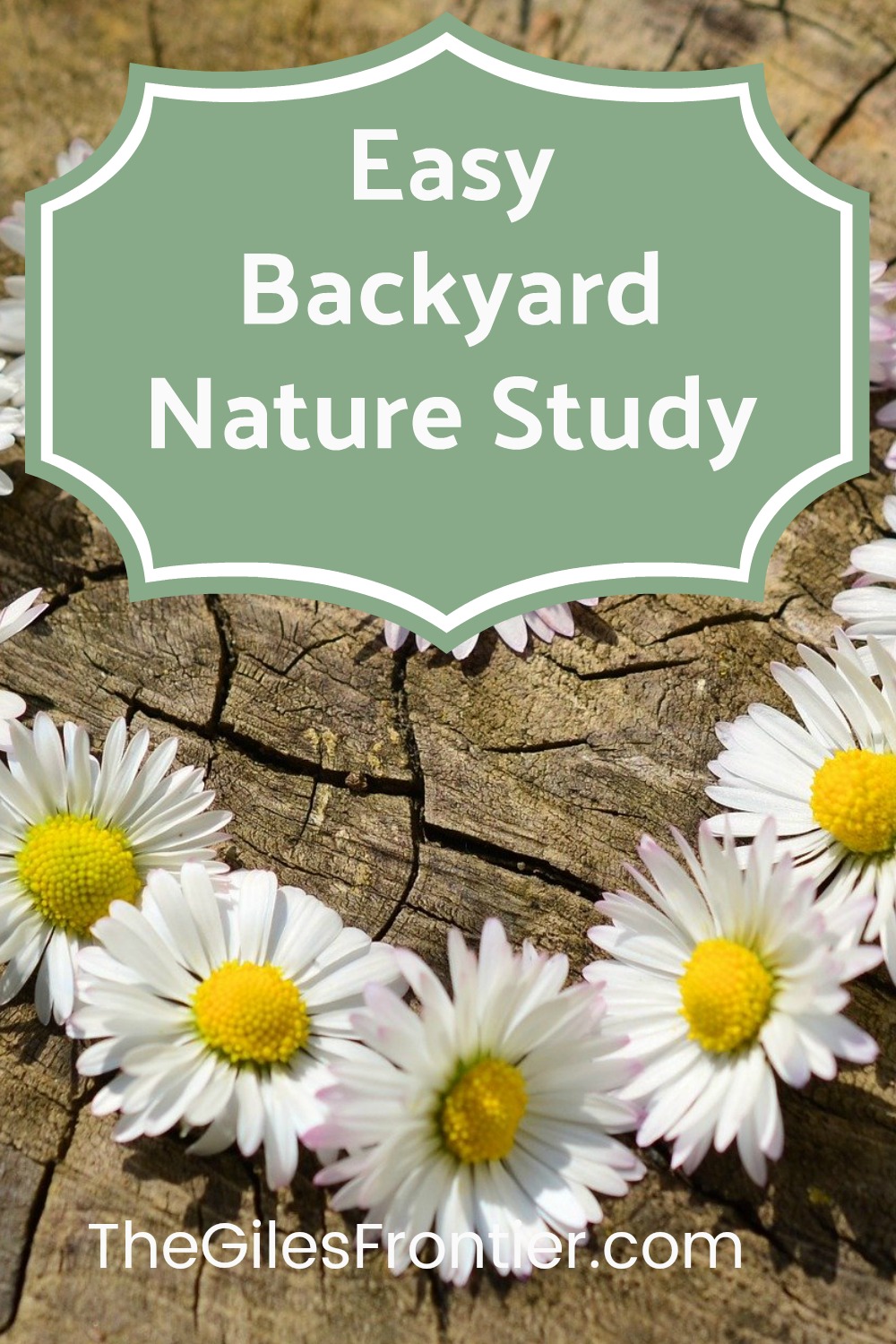 nature study