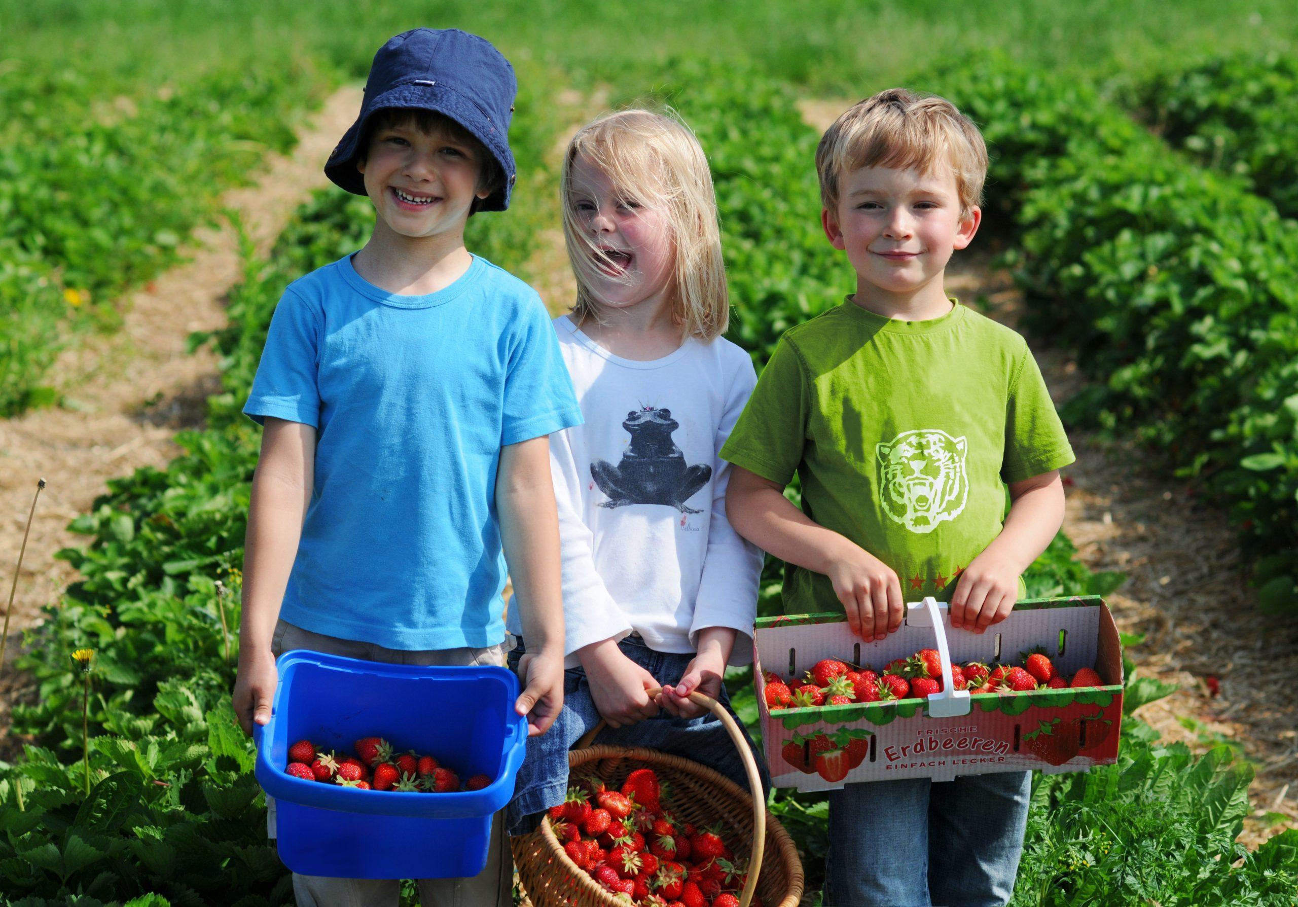 homeschool adventurously