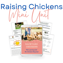 Raising Chickens