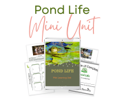 pond life