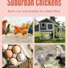 southern suburban