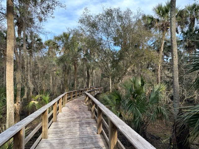 boardwalk