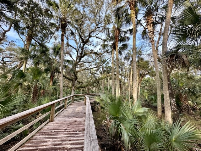 Haw creek preserve