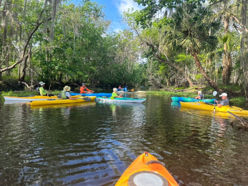 kayak snake creek