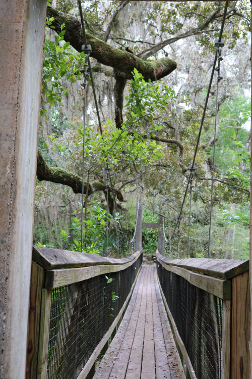 florida suspension bridge