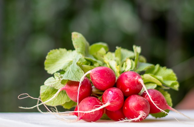 radishes