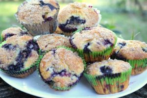 blueberry muffin recipe